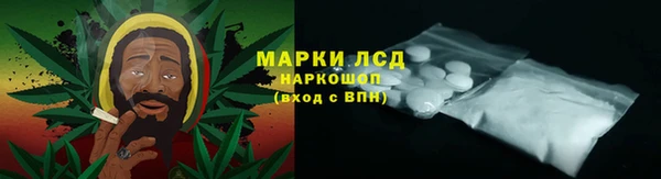 ГАЛЛЮЦИНОГЕННЫЕ ГРИБЫ Балахна