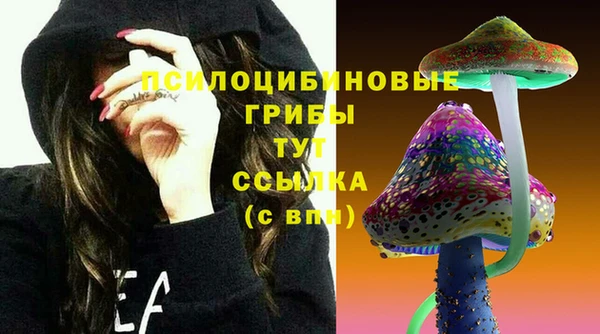спайс Арсеньев