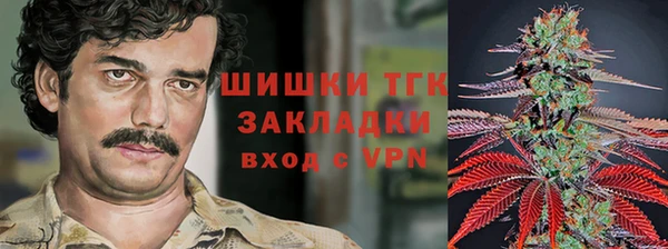 ГАЛЛЮЦИНОГЕННЫЕ ГРИБЫ Балахна