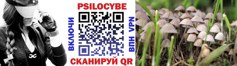 дарк нет какой сайт  Кяхта  Псилоцибиновые грибы ЛСД  hydra зеркало 